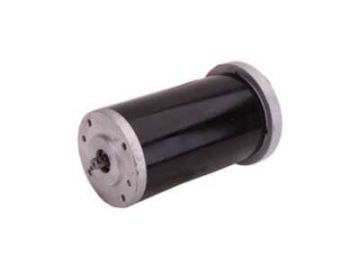 Motor 120-250W, Động cơ chổi than PMDC ZD068B1