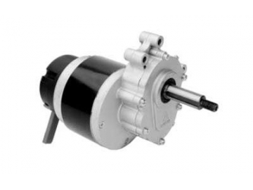 Motor 250W (2800 RPM), Động cơ chổi than PMDC ZD101AZ1