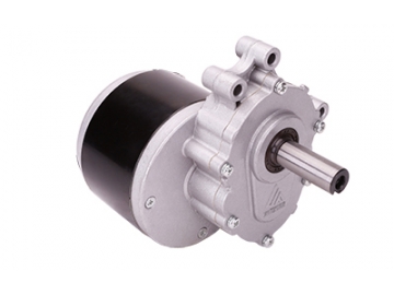 Motor 250W (2800 RPM), Động cơ chổi than PMDC ZD101AZ2