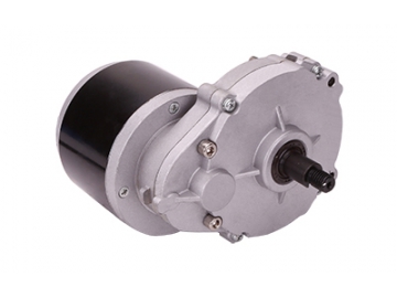 Motor 250W (2000 RPM), Động cơ chổi than PMDC ZD101AZ3