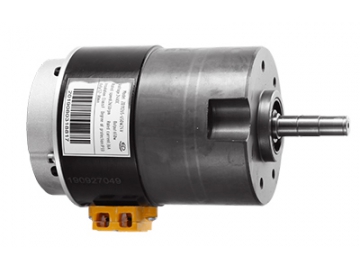 Motor 750W, Động cơ chổi than PMDC ZD125B2