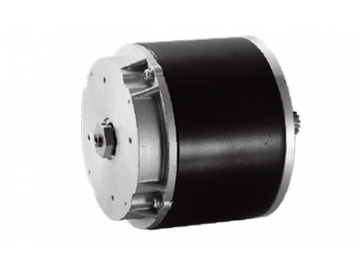 Motor 550W , Động cơ chổi than PMDC ZD109A3