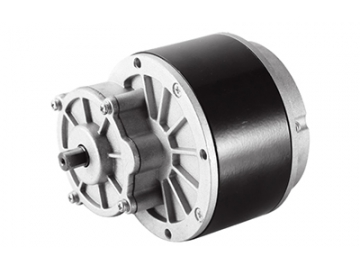 Motor 450W, Động cơ chổi than PMDC ZD109AZ5
