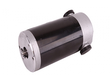 Motor 250-500W, Động cơ chổi than PMDC ZD083A1