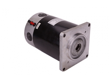 Motor 400-800W, Động cơ chổi than PMDC ZD116A1