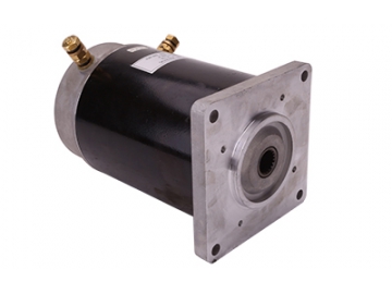 Motor 800-1000W, Động cơ chổi than PMDC ZD125A2