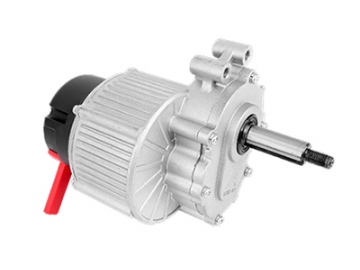 Motor 200W, Động cơ không chổi than PMDC TF095CH