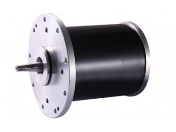 Motor 1200W (2900 RPM), Động cơ không chổi than PMDC TF120AH