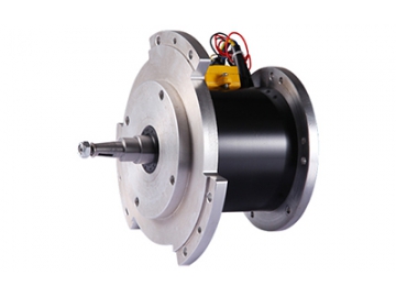 Motor 1200W (3450 RPM), Động cơ không chổi than PMDC TF120BH