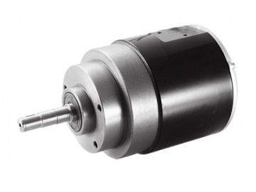 Motor 900W (3700 RPM), Động cơ không chổi than PMDC TF110AH1