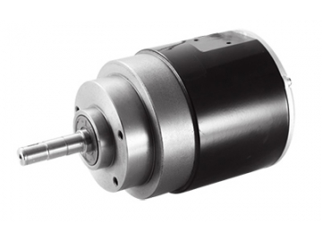 Motor 900W (3100 RPM), Động cơ không chổi than PMDC TF110AH2