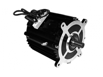 Motor kéo 6000-11000W, Động cơ không chổi than PMDC TZ210BX-T
