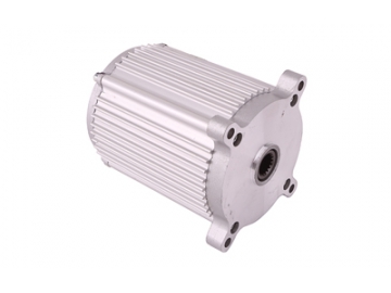 Động cơ điện không chổi than PMDC dòng TF102AH