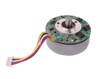 Motor 15W, Động cơ không chổi than PMDC GF033A