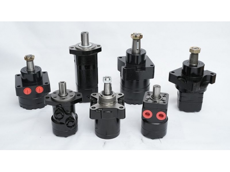 Motor thủy lực cánh gạt