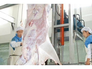 Máy lột da bò