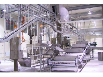 Băng tải kiểm dịch đồng bộ trong giết mổ heo