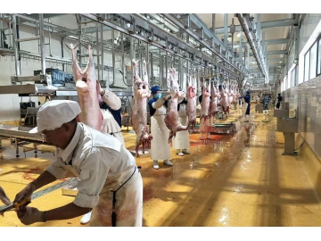 Băng tải treo, Băng tải giết mổ cừu dê