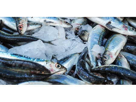 ESSENTION™ Astaxanthin