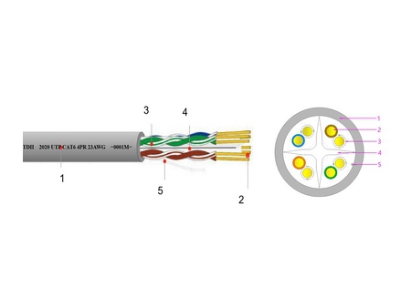 Dây cáp mạng Cat 6