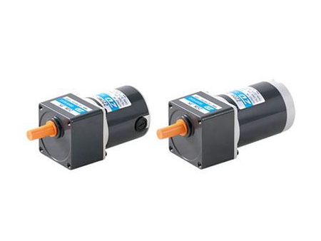 Động Cơ Giảm Tốc DC Có Chổi Than  6W 60mm