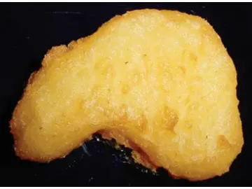 Máy Phủ Bột Áo Khô