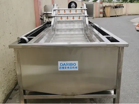 Máy rửa củ quả công nghiệp băng chuyền sục khí, DRB-QX3000