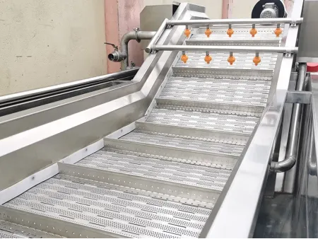 Máy rửa củ quả công nghiệp băng chuyền sục khí, DRB-QX3000