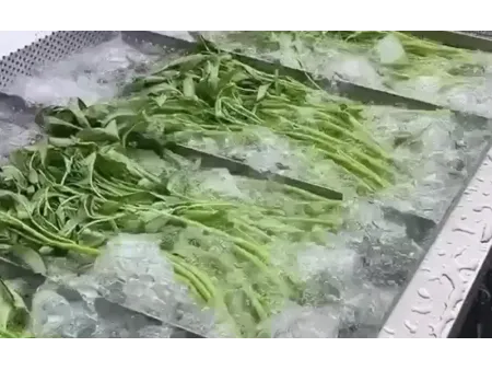 Máy rửa trái cây và rau củ