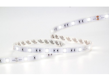 LED dây ánh sáng trắng ấm ngoài trời 5050 SMD IP65