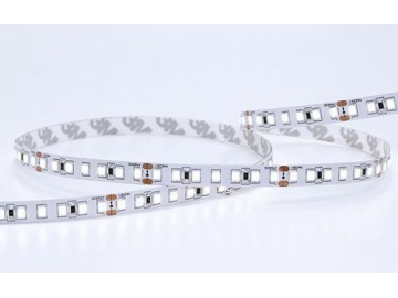 LED dây ánh sáng trắng lạnh 2835 SMD Công suất nhỏ IP20