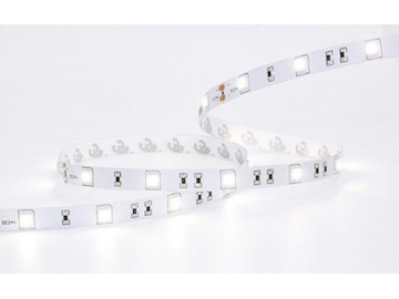 LED dây ánh sáng trắng lạnh DC24V Non-Waterproof, SMD 5050 LED