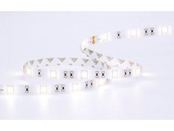 LED dây mềm ánh sáng trắng lạnh 5050 SMD CRI cao 90 chống nước