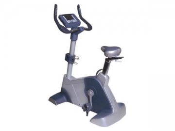 Xe đạp upright